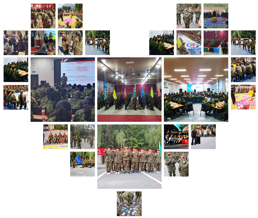 山東一諾生物,成長(zhǎng)與發(fā)展的關(guān)鍵因素